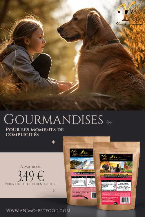 gourmandises-sans-cereale-ni-gluten-pour-chien